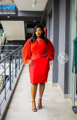 Elegant scarlet red sheath dress
