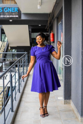 Elegant blue skater dress