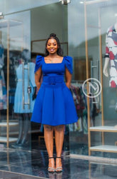 Elegant Chic blue skater dress