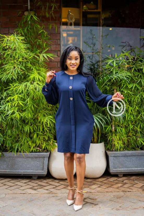 Elegant long sleeved shift dress
