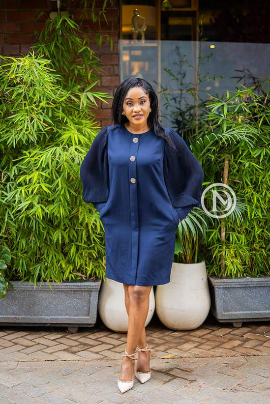 Elegant long sleeved shift dress