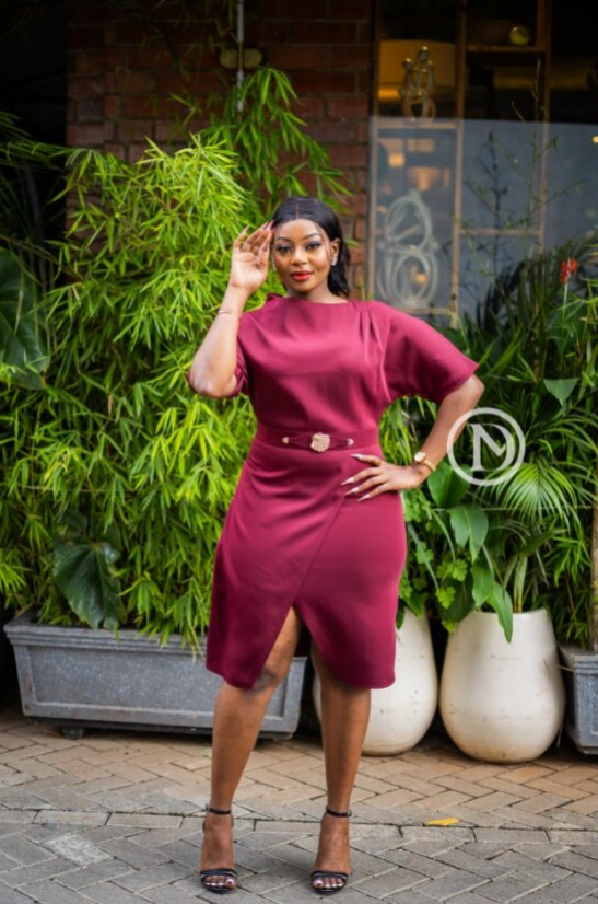 Elegant stylish burgundy dress
