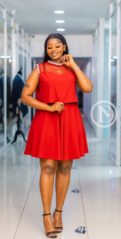 Elegant chic red skater dress