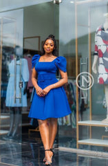 Elegant Chic blue skater dress